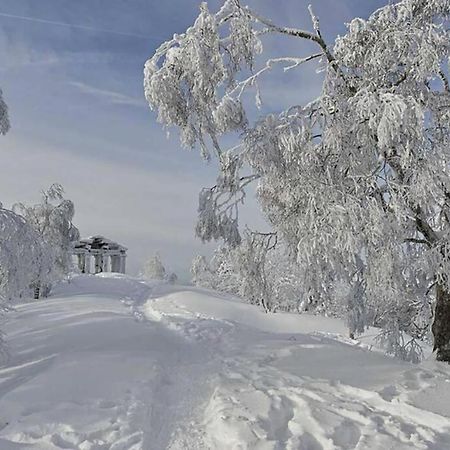 Maison Rurale En Bordure De Foret Schirmeck Exterior photo
